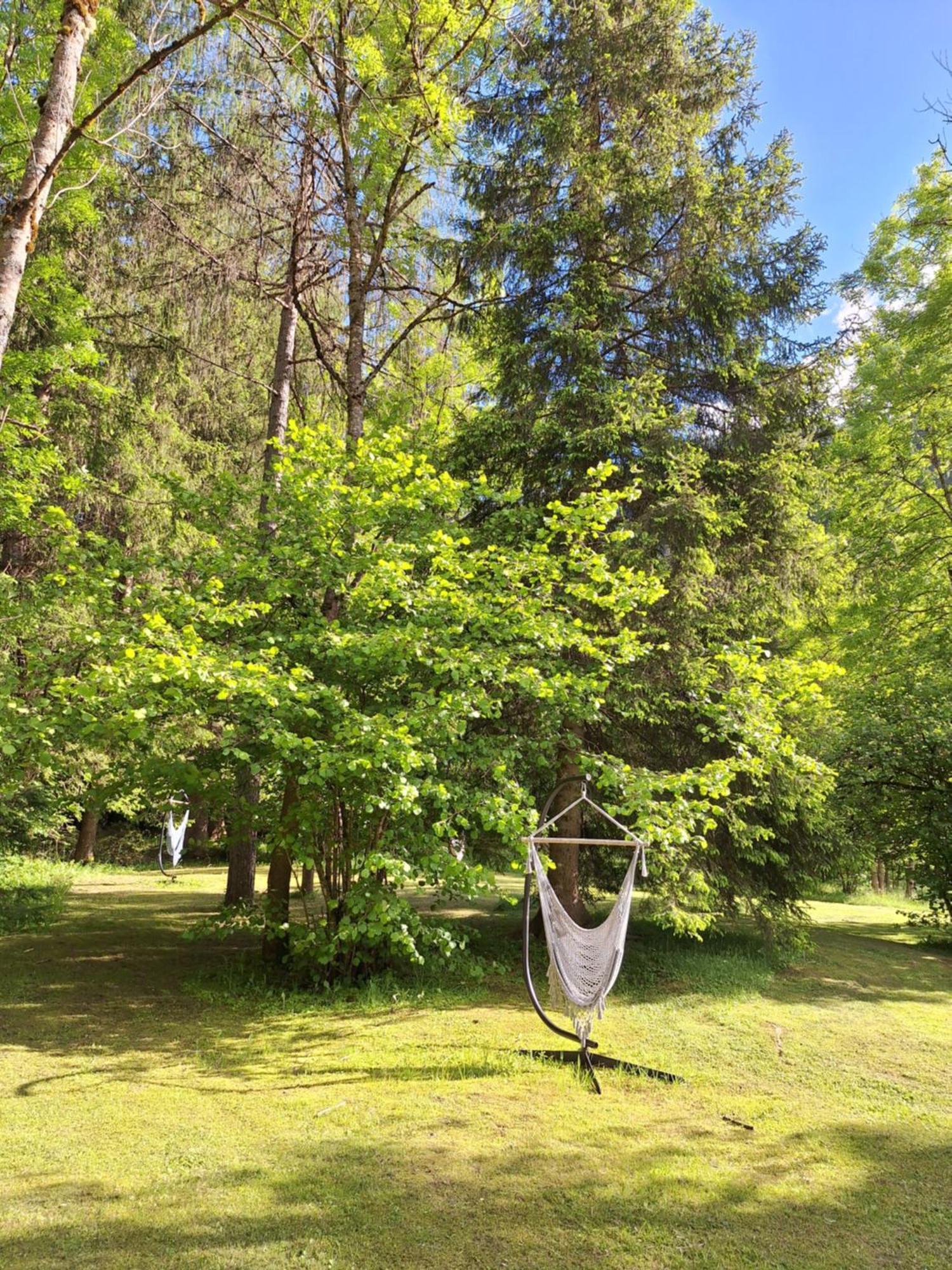 Chalet Presanella Temù Εξωτερικό φωτογραφία