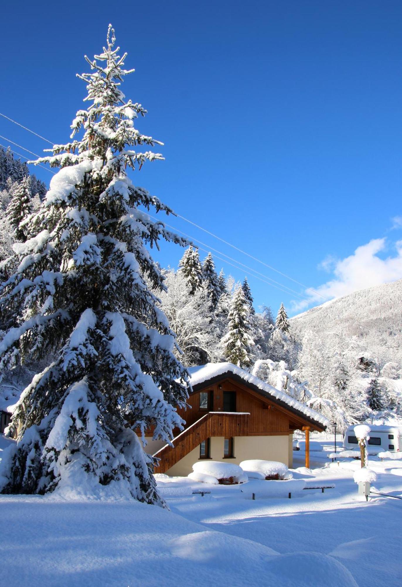 Chalet Presanella Temù Εξωτερικό φωτογραφία