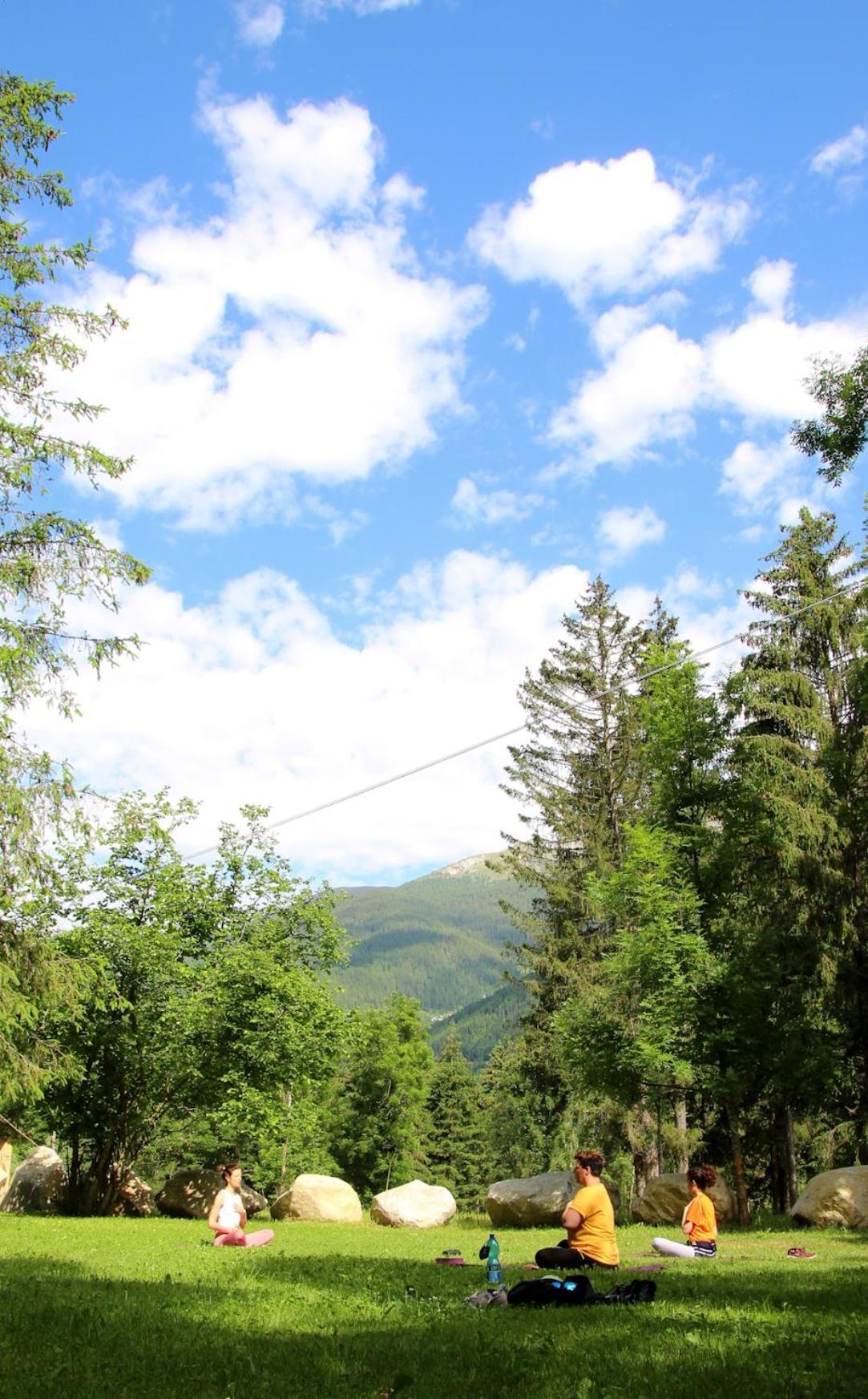 Chalet Presanella Temù Εξωτερικό φωτογραφία