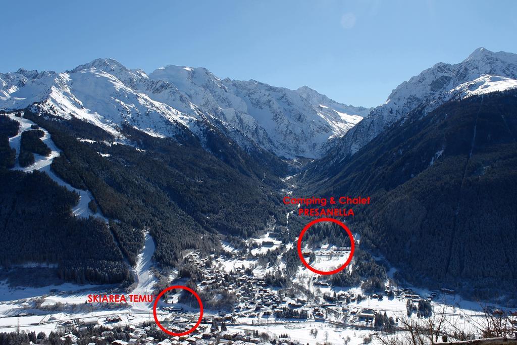Chalet Presanella Temù Εξωτερικό φωτογραφία